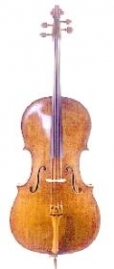 Bild eines Cello