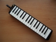 Melodica Unterricht an der Sing- und Musikschule K